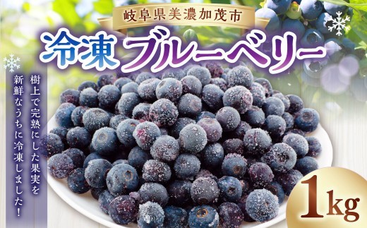 冷凍ブルーベリー 1kg