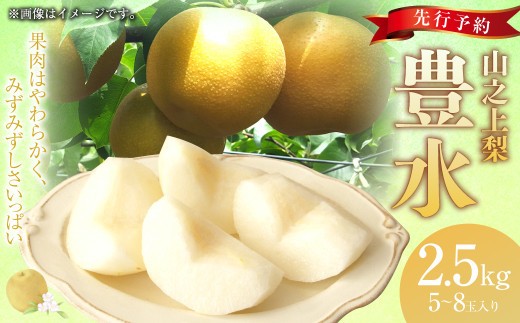 《先行予約》「丸坂山田農園」 山之上梨 豊水 1箱 ( 約2.5kg / 5~8玉 ) 【2026年8月下旬~9月下旬 発送予定】 │ 梨 ナシ なし くだもの 果物 果実 フルーツ 冷蔵 岐阜県産