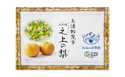 《先行予約》「丸坂山田農園」 山之上梨 豊水 1箱 ( 約2.5kg / 5~8玉 ) 【2026年8月下旬~9月下旬 発送予定】 │ 梨 ナシ なし くだもの 果物 果実 フルーツ 冷蔵 岐阜県産