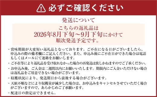 《先行予約》「丸坂山田農園」 山之上梨 豊水 1箱 ( 約2.5kg / 5~8玉 ) 【2026年8月下旬~9月下旬 発送予定】 │ 梨 ナシ なし くだもの 果物 果実 フルーツ 冷蔵 岐阜県産