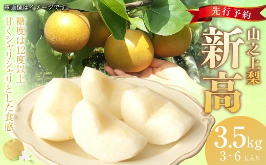 《先行予約》｢丸坂山田農園｣ 山之上梨 新高 1箱 （ 約3.5kg ／ 3～6玉 ） 【2026年9月下旬～10月上旬 発送予定】 │ 梨 ナシ なし くだもの 果物 果実 フルーツ 冷蔵 岐阜県産