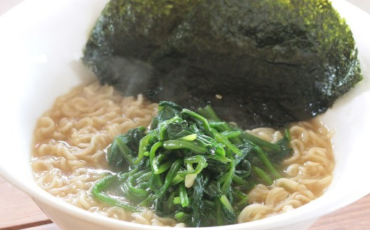純正ラーメン 20食 インスタントラーメン ラーメン 麺 麺類 袋麺 無かんすい 国産小麦 無添加 常温 岐阜県 美濃加茂市