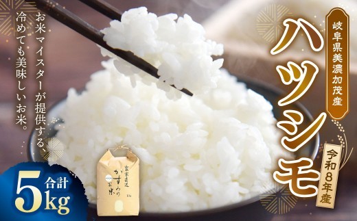 【先行予約】 令和8年産 お米マイスターが提供 冷めても美味しい 美濃加茂産 ハツシモ （ 5kg × 1袋 ） 春見ライス 米 お米 コメ こめ 白米 精白米 白飯 ご飯 ライス おにぎり お弁当