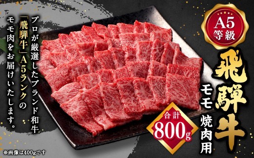 飛騨牛 焼肉用 モモ肉 800g