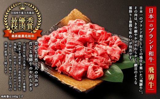 飛騨牛 切り落とし 1kg （ A5 ・ A4等級 ） 和牛 霜降り 旨み 煮込み お肉 ニク にく 肉 牛肉 牛 国産 岐阜県産 冷凍 すき焼き 炒め物
