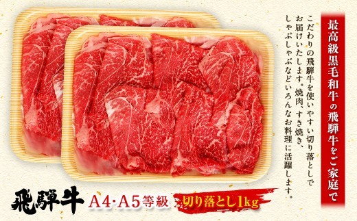 飛騨牛 切り落とし 1kg （ A5 ・ A4等級 ） 和牛 霜降り 旨み 煮込み お肉 ニク にく 肉 牛肉 牛 国産 岐阜県産 冷凍 すき焼き 炒め物