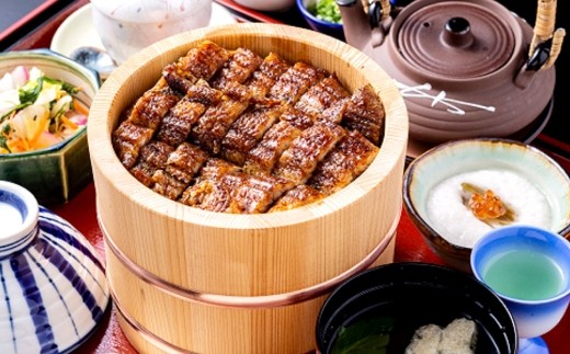 活うなぎ専門 「 美濃川 」 お食事券 9,000円分 お食事券 食事券 チケット 食事 料理 うなぎ 鰻 鰻料理