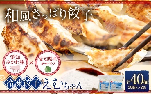 冷凍餃子 えむちゃん 2袋