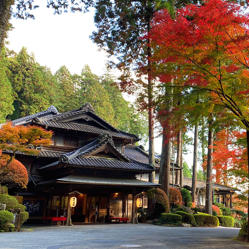 下呂温泉【湯之島館】宿泊補助券 3,000円~150,000円分