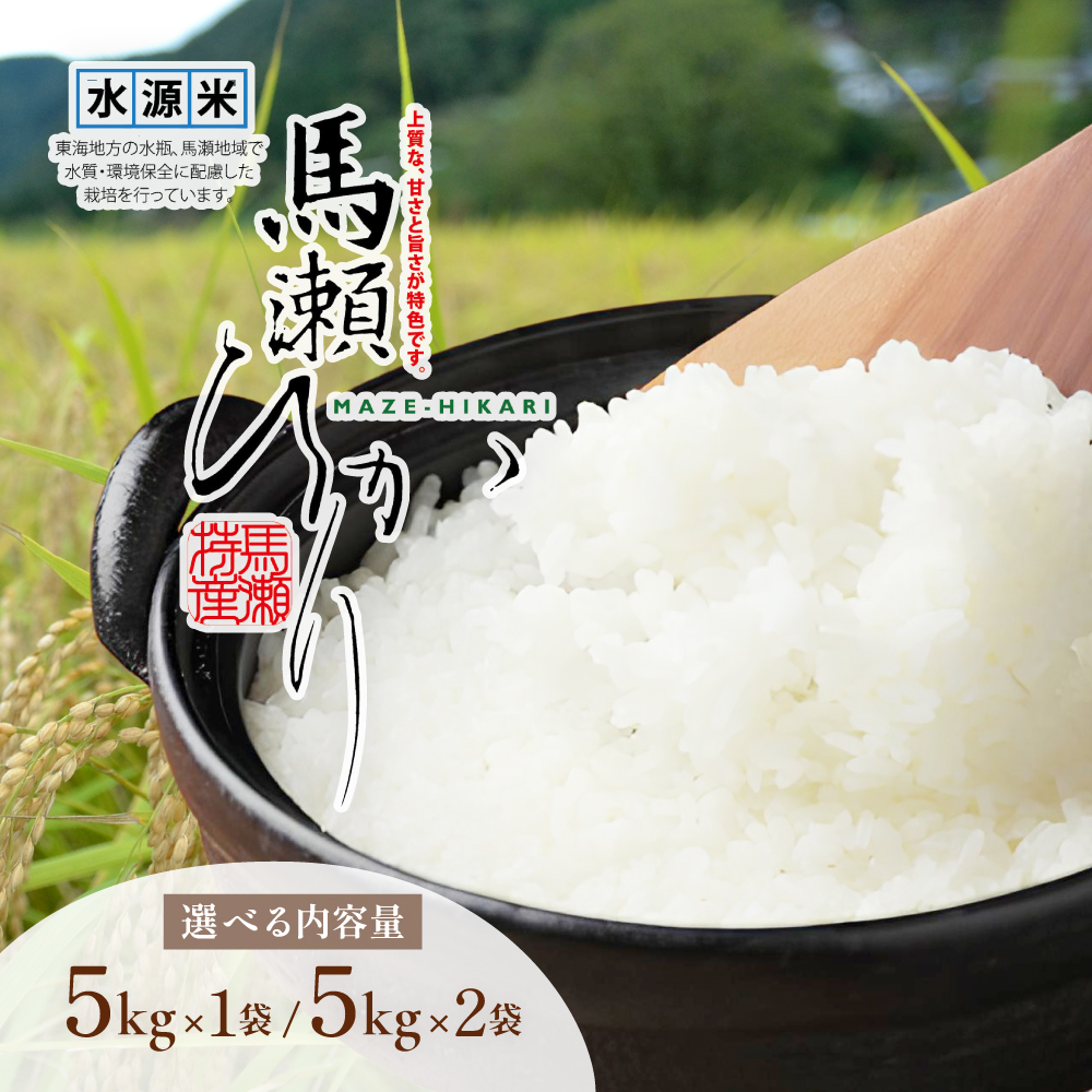 【選べる内容量／単品／定期便】新米先行予約【2026年産米】2kg～8kg（2026年10月中旬頃から順次発送）すがたらいす 山仙 (いのちの壱) 下呂市金山産