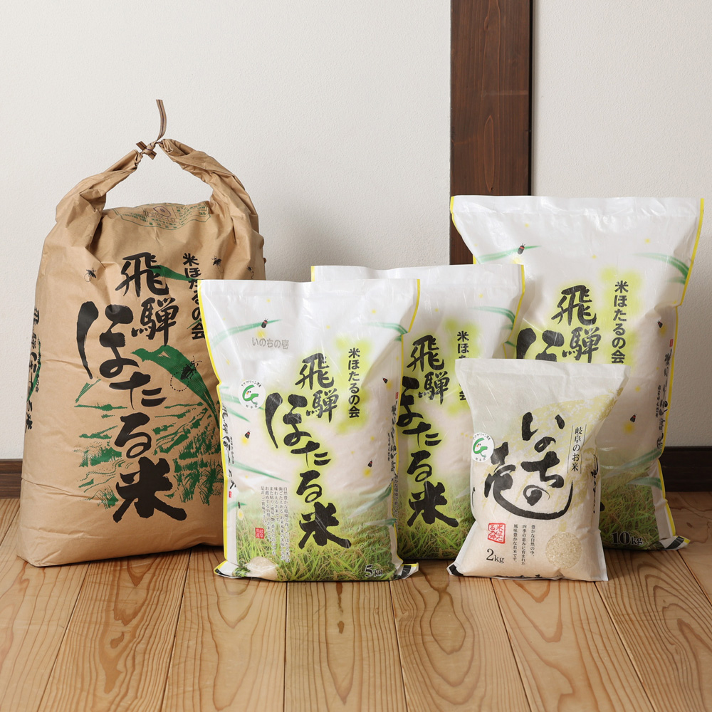 新米予約受付【2026年産米】選べる【単品/定期便】こしひかり 5kg/10kg