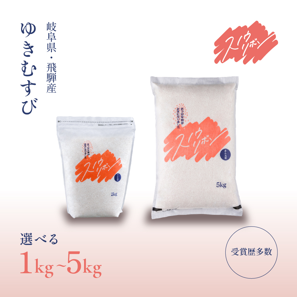 【選べる内容量／単品／定期便】新米先行予約【2026年産米】2kg～8kg（2026年10月中旬頃から順次発送）すがたらいす 山仙 (いのちの壱) 下呂市金山産
