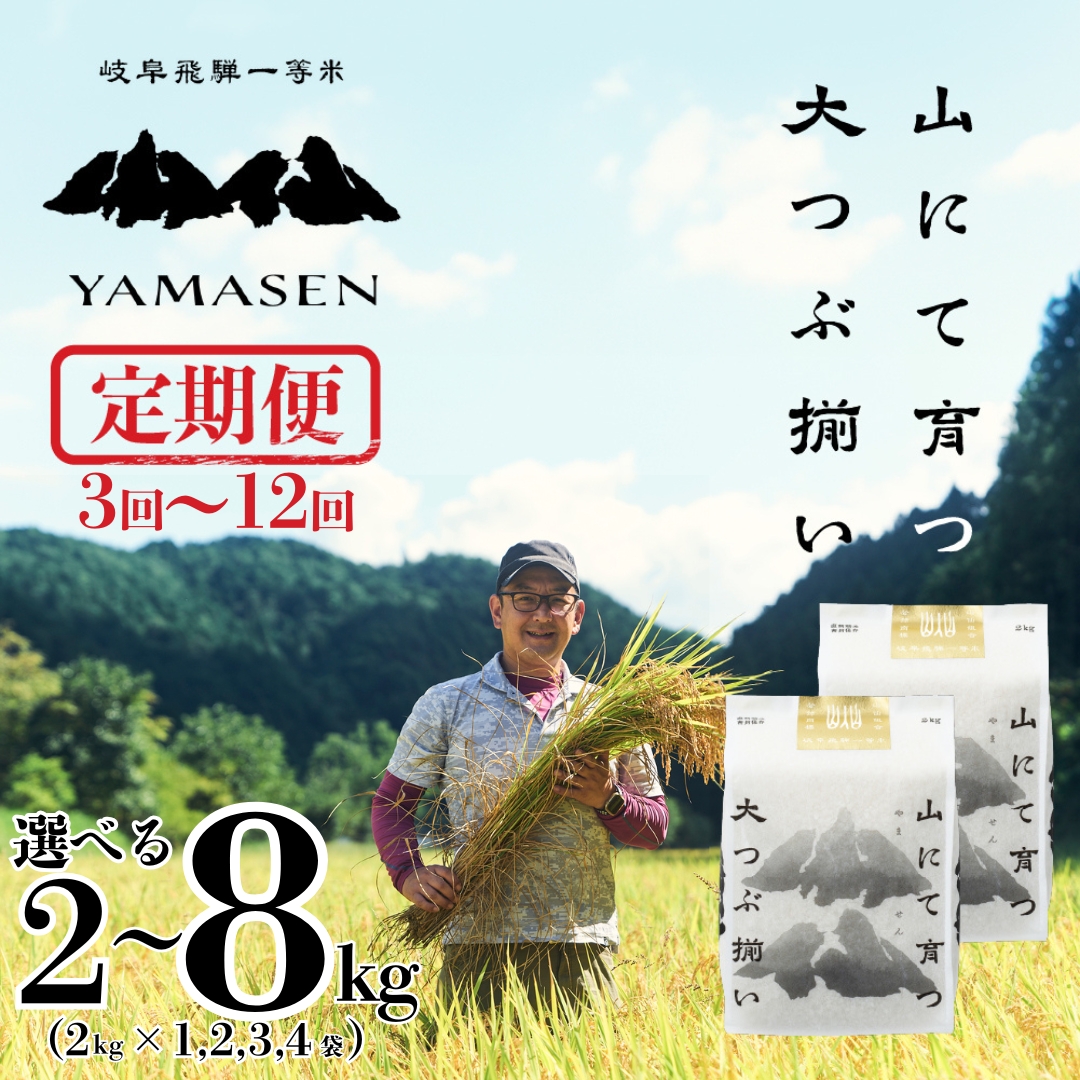 【選べる内容量／単品／定期便】新米先行予約【2026年産米】2kg～8kg（2026年10月中旬頃から順次発送）すがたらいす 山仙 (いのちの壱) 下呂市金山産