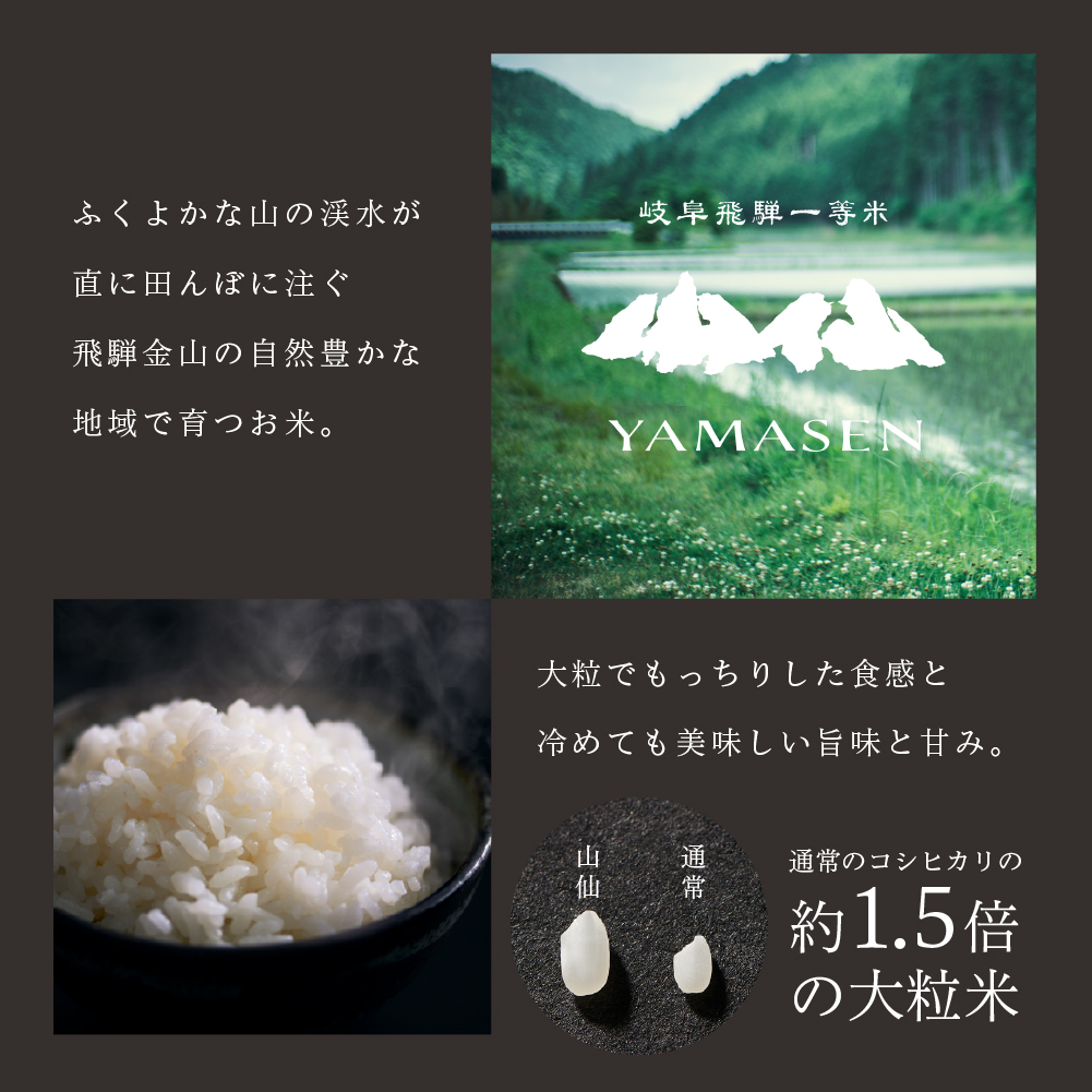 【選べる内容量／単品／定期便】新米先行予約【2026年産米】2kg～8kg（2026年10月中旬頃から順次発送）すがたらいす 山仙 (いのちの壱) 下呂市金山産
