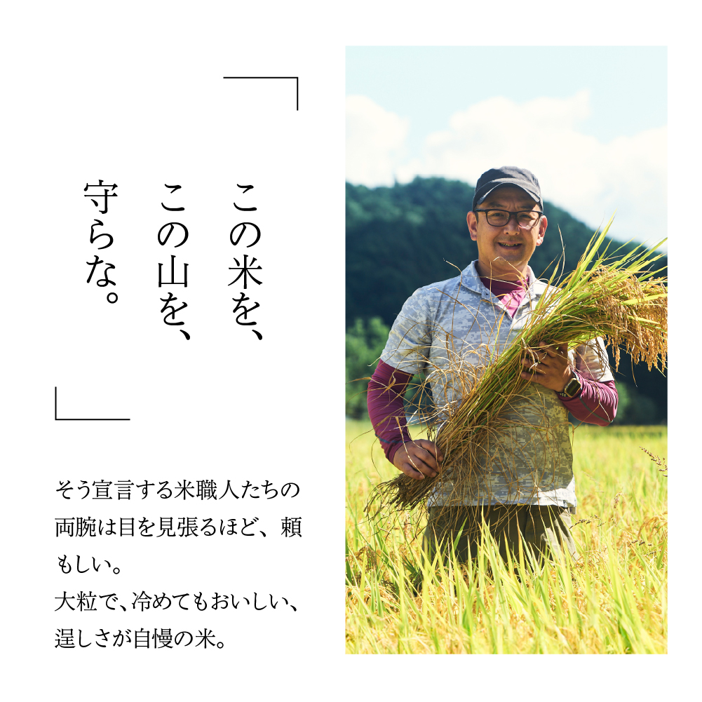 【選べる内容量／単品／定期便】新米先行予約【2026年産米】2kg～8kg（2026年10月中旬頃から順次発送）すがたらいす 山仙 (いのちの壱) 下呂市金山産