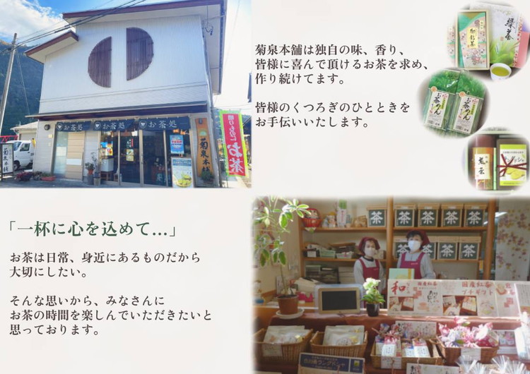 菊泉本舗特選！ラングドシャ10枚＆美濃白川茶200g×1缶 ラングドシャ 美濃白川茶 緑茶 お茶 茶 白川茶 国産 和菓子 お菓子 おやつ ギフト 贈答 菊泉本舗