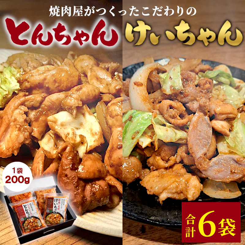 焼肉屋がつくったこだわりの けいちゃん&とんちゃんセット 計1.2kg 6袋 小分け 焼肉 けいちゃん 鶏 鶏肉 若鶏 鶏皮 砂肝 とんちゃん 豚 豚肉 豚内蔵 ホルモン 豚ホルモン 炭火焼肉たつみや
