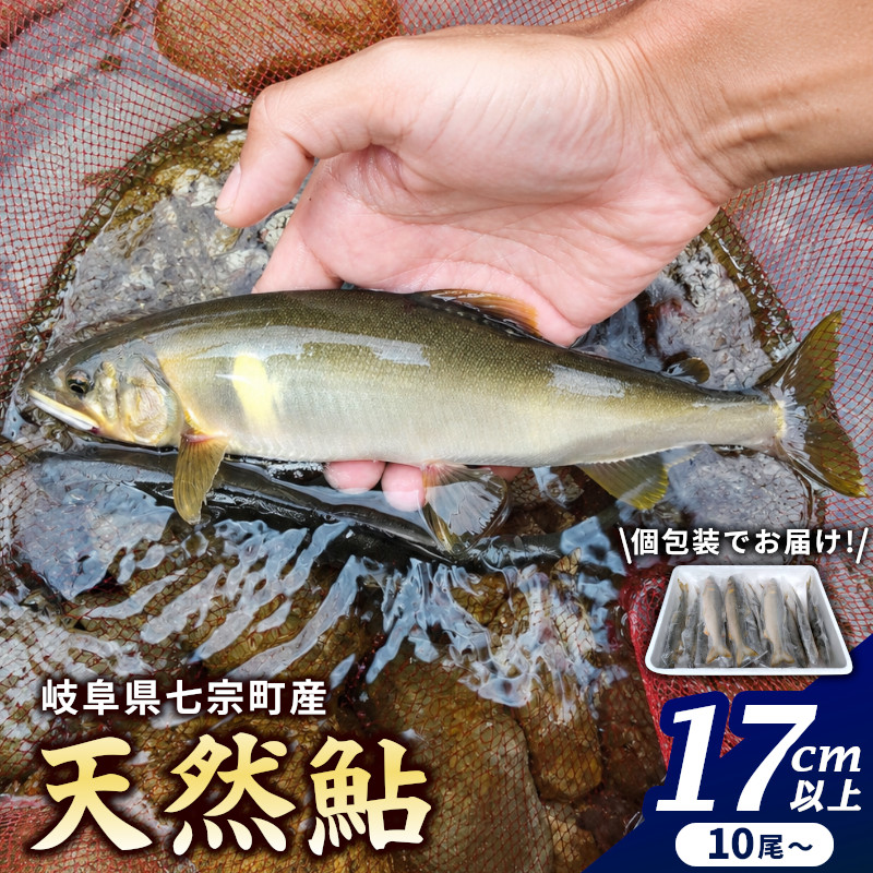 岐阜県産 天然鮎 10尾以上 (17cm以上) 七宗町産 冷凍 鮎 あゆ アユ 直送 天然 魚 川魚