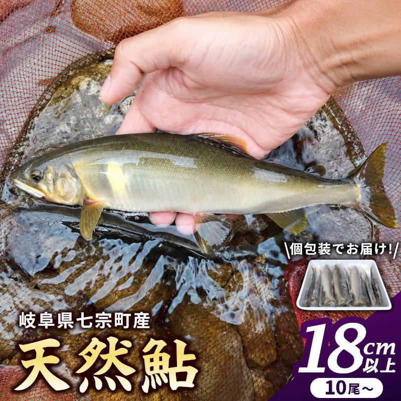 岐阜県産 天然鮎 10尾以上 (18cm以上) 七宗町産 冷凍 鮎 あゆ アユ 直送 天然 魚 川魚