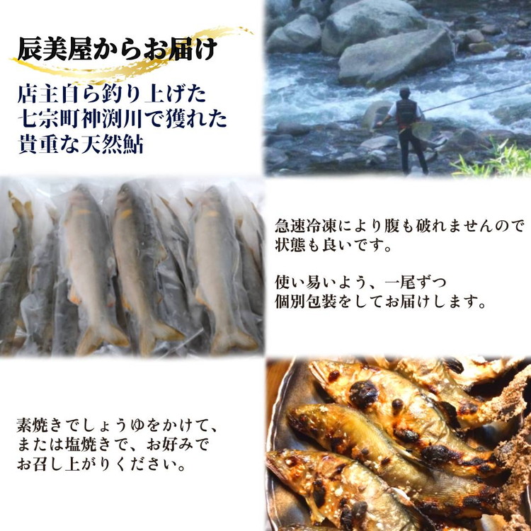 岐阜県産 天然鮎 10尾以上 (22cm以上) 七宗町産 冷凍 鮎 あゆ アユ 直送 天然 魚 川魚