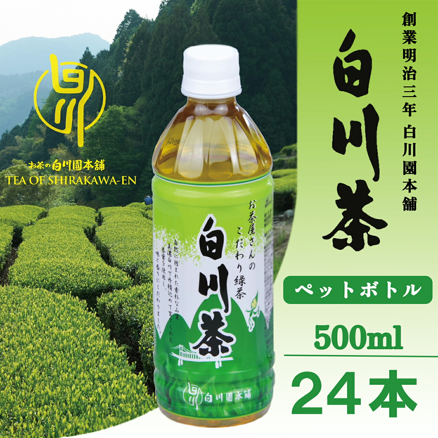 白川茶 ペットボトル500ｍl 24本入り 白川茶 お茶 白川茶 緑茶 白川茶 飲料 ペットボトル お茶 ペットボトル ペットボトル飲料 500ml 白川園本舗