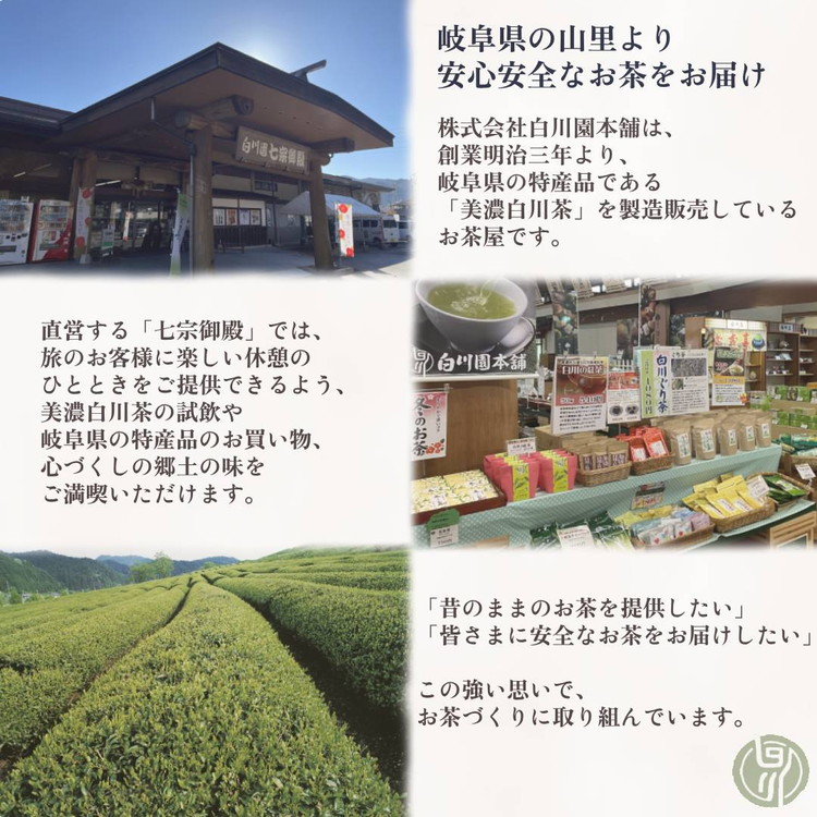 白川茶 ペットボトル500ｍl 24本入り 白川茶 お茶 白川茶 緑茶 白川茶 飲料 ペットボトル お茶 ペットボトル ペットボトル飲料 500ml 白川園本舗