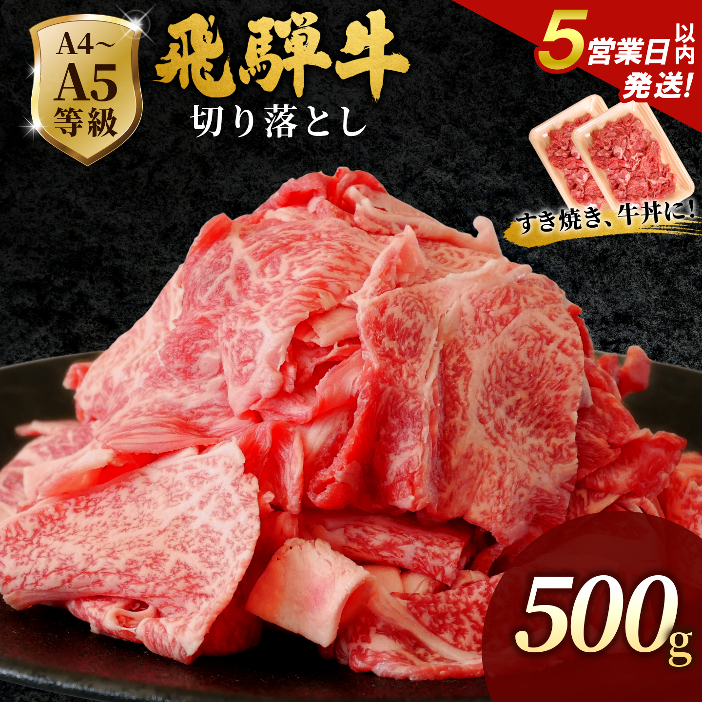 飛騨牛 A4~A5等級 切り落とし 500g 岐阜県産 A4 A5 すき焼き 牛丼 炒め物 おかず 肉じゃが カレー 黒毛和牛 牛肉 国産 お取り寄せ 自宅用 部位おまかせ 和牛 訳あり 肉のひぐち
