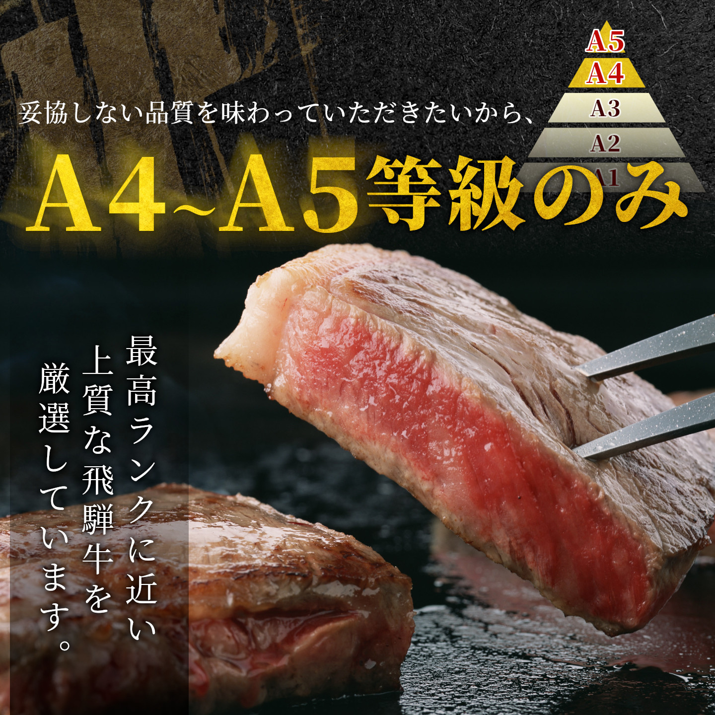 飛騨牛 A4~A5等級 ロースステーキ ステーキソース付 720g 岐阜県産 A4 A5 BBQ 厚切り 黒毛和牛 ロース ステーキ 霜降り 牛肉 牛 国産 お取り寄せ 自宅用 和牛 肉のひぐち