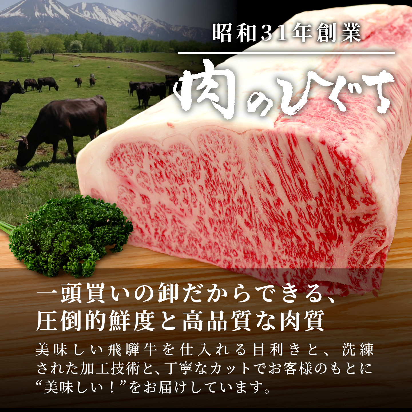 飛騨牛 A4~A5等級 飛騨牛 BBQセット 計400g (カルビ+もも・カタ焼肉用) 岐阜県産 A4 A5 焼肉 詰め合わせ 黒毛和牛 赤身 牛肉 牛 国産 お取り寄せ 自宅用 肉のひぐち