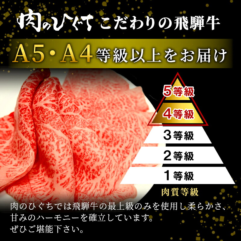 全6回 飛騨牛 定期便 約2kg 2人前 すき焼き しゃぶしゃぶ ステーキ 焼肉 BBQ ロース カタロース ロースステーキ モモ カタ 贅沢 贈り物 6ヶ月 定期 おすすめ 肉のひぐち