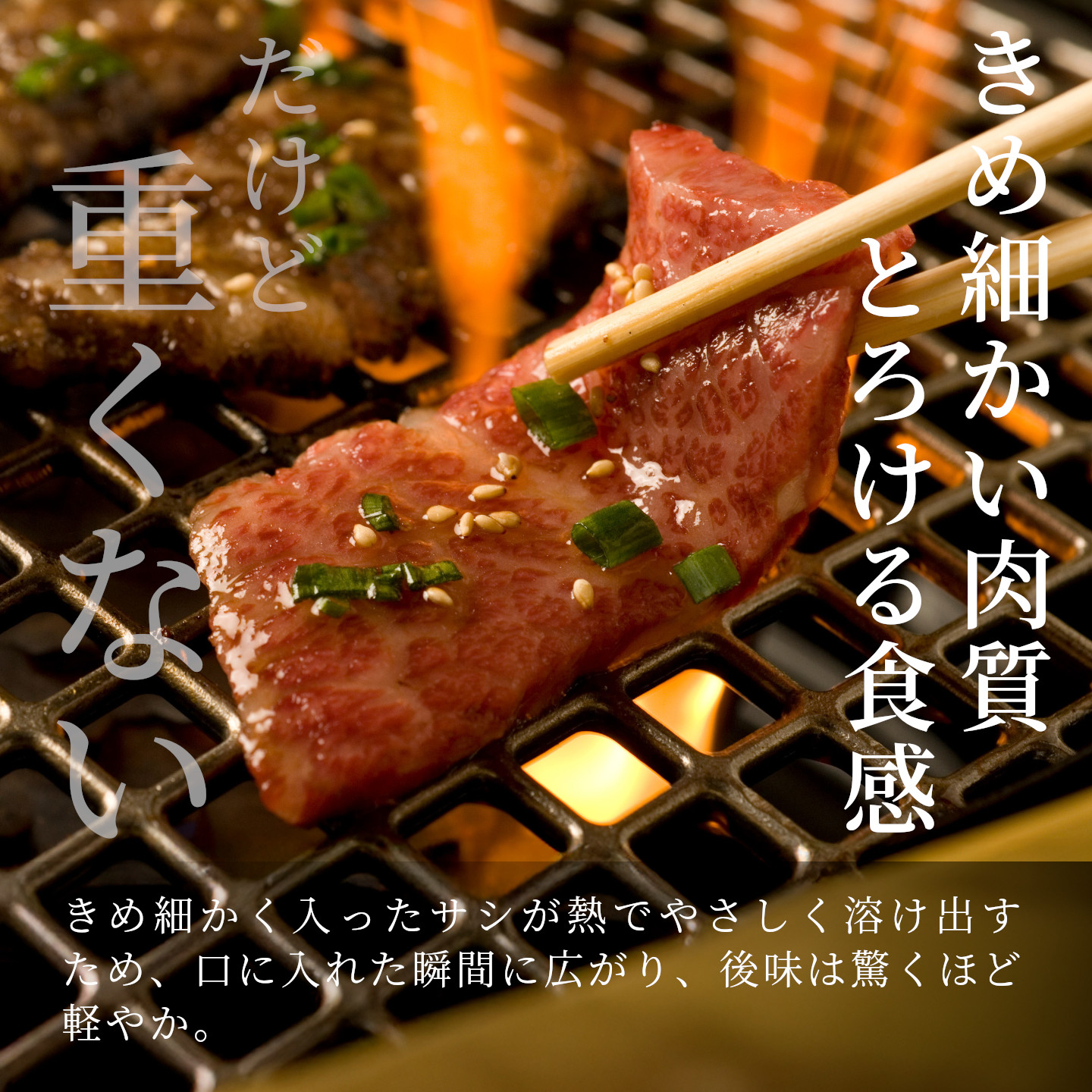【最短発送】飛騨牛 贅沢！焼肉セット 2人前 400g  牛肉 和牛 肉 焼肉 BBQ キャンプ バーベキュー 霜降り カルビ 赤身 モモ カタ 東白川村 岐阜 岐阜県産 養老ミート