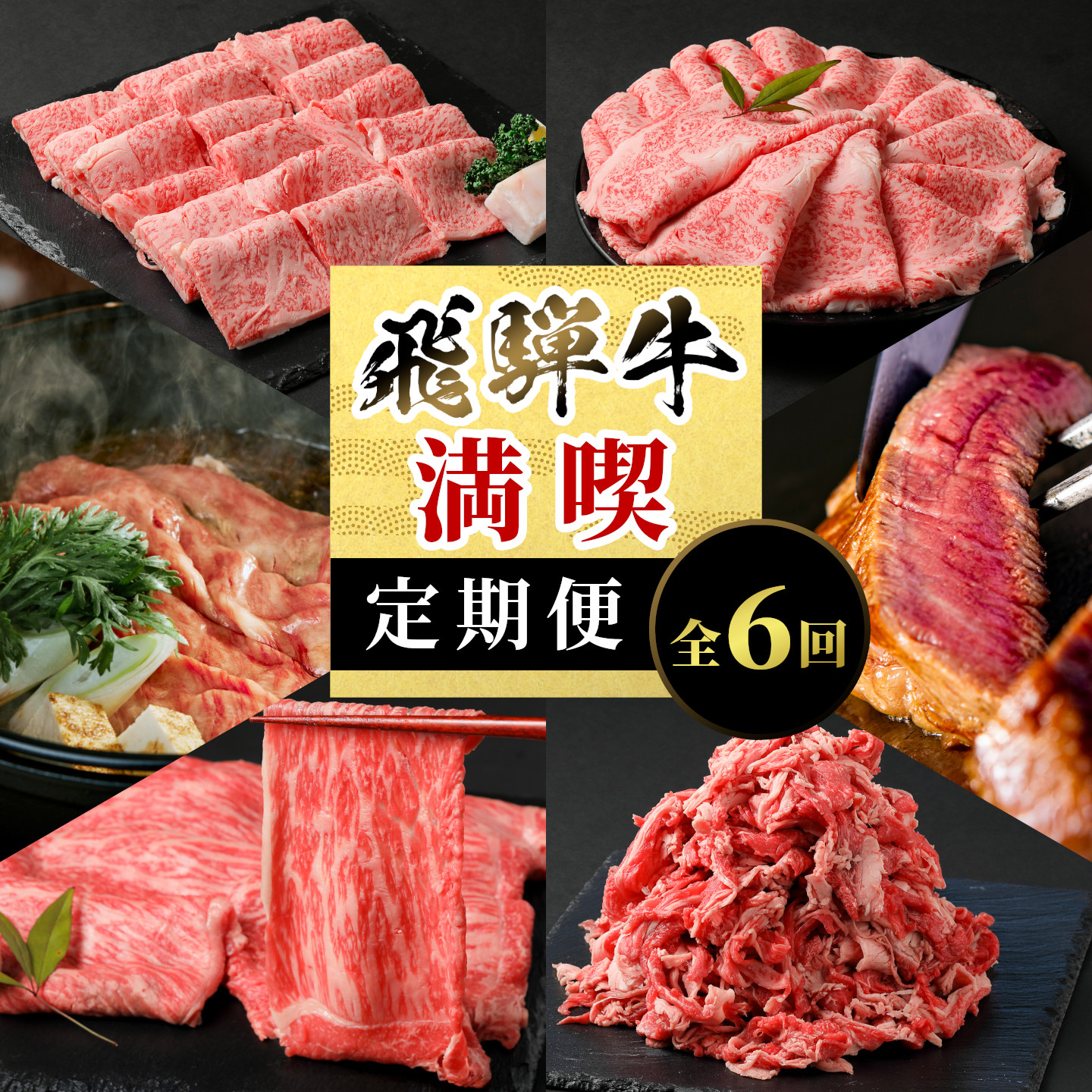 飛騨牛 満喫定期便 全6回 すき焼き しゃぶしゃぶ ステーキ 焼肉 BBQ ロース 肩ロース ロースステーキ サーロインステーキ 切り落とし 贅沢 贈り物 6ヶ月 定期 おすすめ 選べる 養老ミート