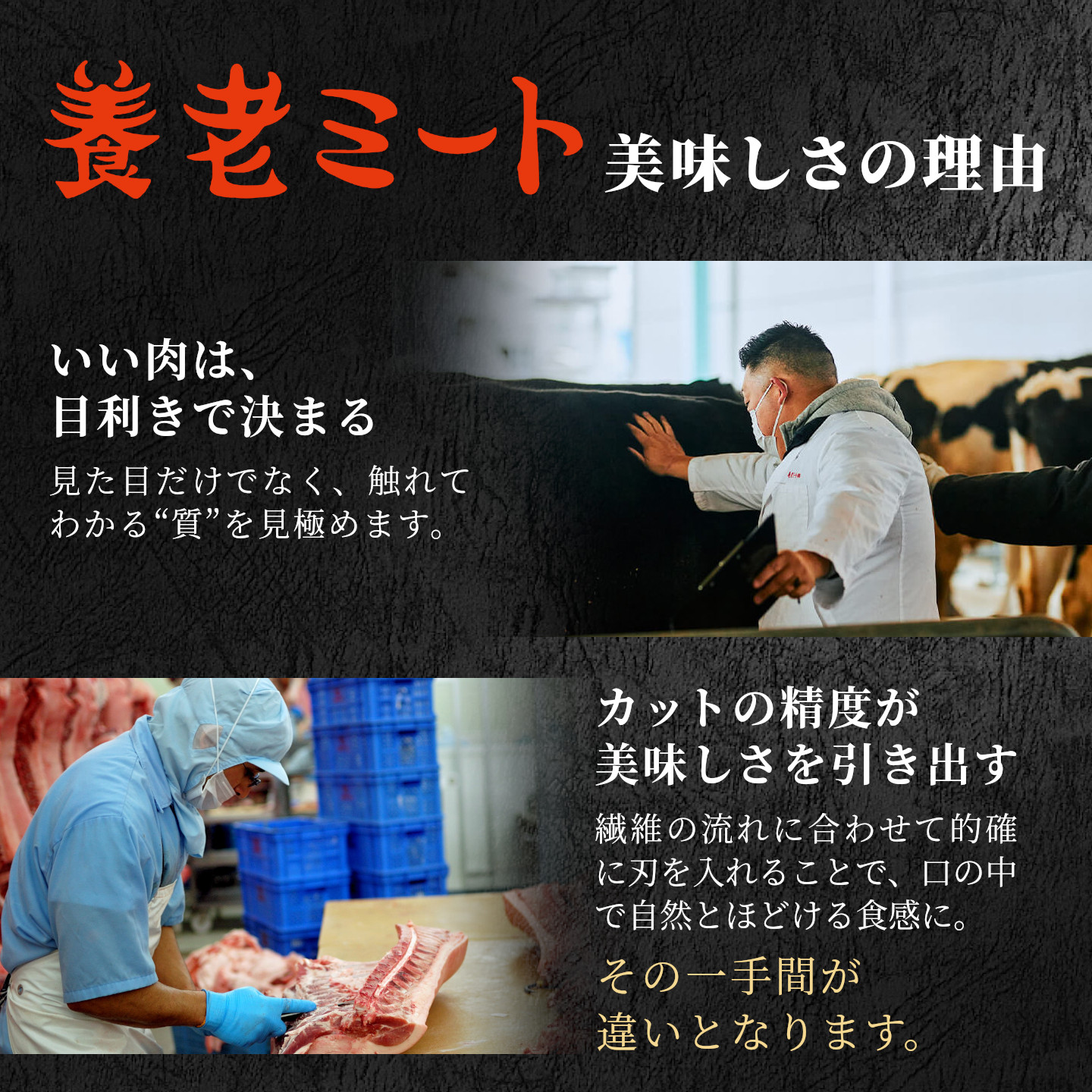 飛騨牛 満喫定期便 全6回 すき焼き しゃぶしゃぶ ステーキ 焼肉 BBQ ロース 肩ロース ロースステーキ サーロインステーキ 切り落とし 贅沢 贈り物 6ヶ月 定期 おすすめ 選べる 養老ミート