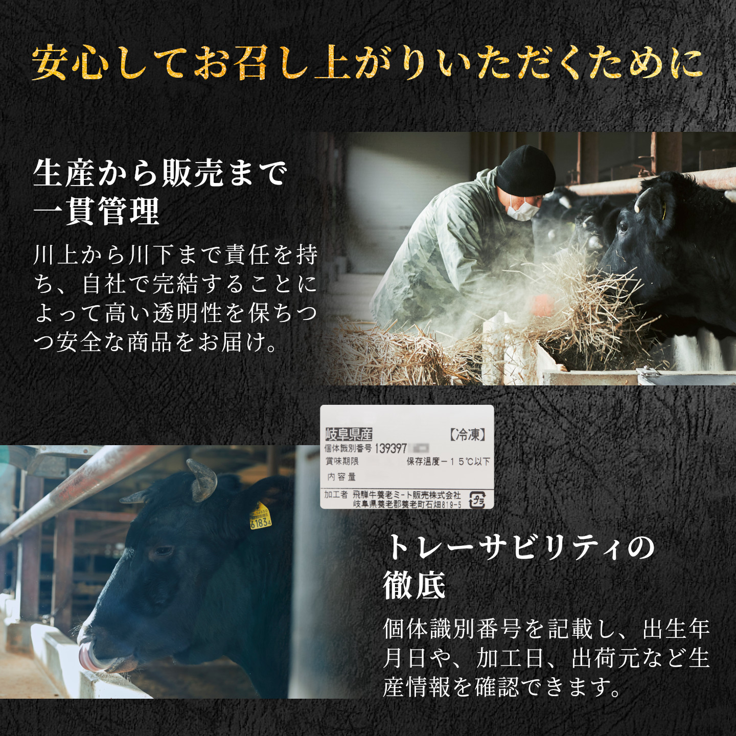 飛騨牛 満喫定期便 全6回 すき焼き しゃぶしゃぶ ステーキ 焼肉 BBQ ロース 肩ロース ロースステーキ サーロインステーキ 切り落とし 贅沢 贈り物 6ヶ月 定期 おすすめ 選べる 養老ミート