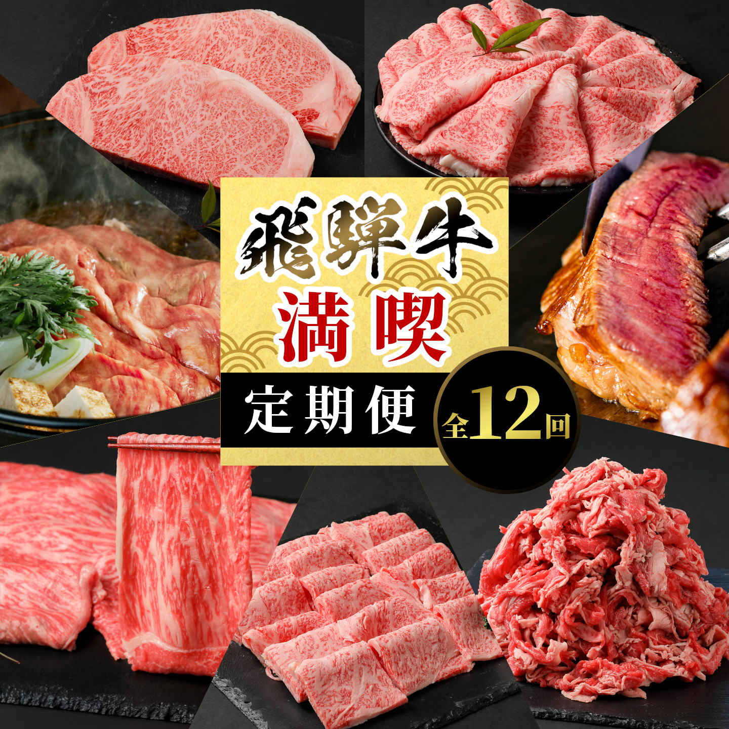 飛騨牛 満喫定期便 全12回 A5等級 すき焼き しゃぶしゃぶ ステーキ 焼肉 BBQ ロース 肩ロース ロースステーキ サーロインステーキ 切り落とし 贅沢 モモ カタ ギフト 12ヶ月 養老ミート