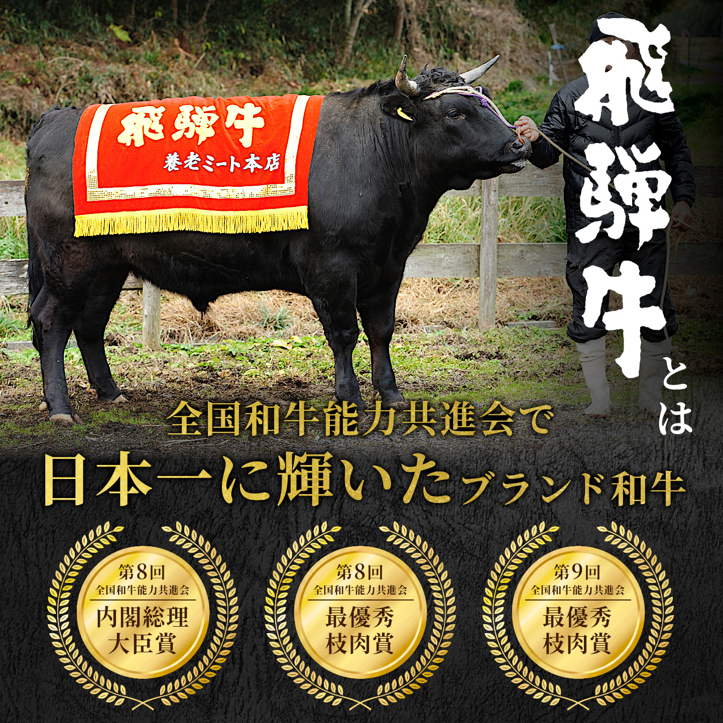 飛騨牛 赤身プレミアム定期便 全3回 すき焼き しゃぶしゃぶ ステーキ 焼肉 BBQ モモ カタ ヒレ 贅沢 贈り物 3ヶ月 定期 おすすめ 選べる 人気 飛騨 牛 肉 和牛 黒毛和牛 養老ミート