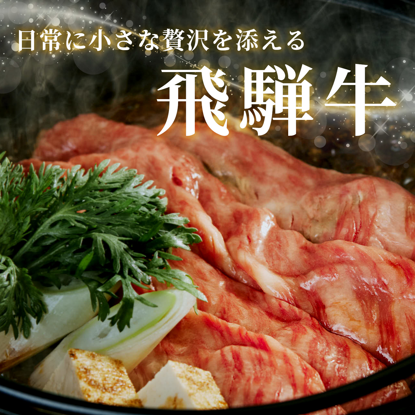 飛騨牛 赤身プレミアム定期便 全3回 すき焼き しゃぶしゃぶ ステーキ 焼肉 BBQ モモ カタ ヒレ 贅沢 贈り物 3ヶ月 定期 おすすめ 選べる 人気 飛騨 牛 肉 和牛 黒毛和牛 養老ミート
