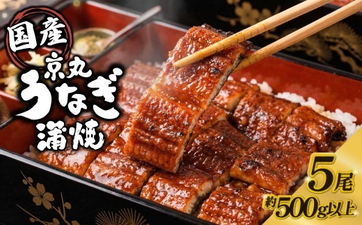 うなぎ 蒲焼 国産 5尾 計約500g以上 静岡 うなぎ処京丸 | 蒲焼き unagi 鰻 ウナギ 国産うなぎ 国産鰻 国産ウナギ かば焼き 鰻蒲焼 うなぎ蒲焼き 冷凍 個包装 小分け ギフト箱 プレ