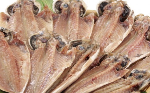 沼津の幸 一夜干し 真あじ 10枚セット 80g 干物 鯵 アジ あじ 詰め合わせ セット 冷凍 おつまみ 定食 お手軽 簡単 弁当 おかず 冷凍 絶品 12000円 ひもの 美味しい ランキング