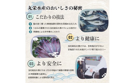 沼津の幸 一夜干し 真あじ 10枚セット 80g 干物 鯵 アジ あじ 詰め合わせ セット 冷凍 おつまみ 定食 お手軽 簡単 弁当 おかず 冷凍 絶品 12000円 ひもの 美味しい ランキング