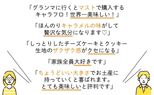 チーズケーキ キャラフロ 計21本 7本入り×3箱セット 濃厚 クリーミー チーズケーキ キャラメル フロマージュ ご褒美 チーズ ケーキ スイーツ デザート おやつ お菓子 ちーずけーき 洋菓子 冷