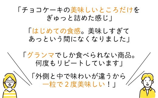 レアチョコキューブ 計24粒 12粒入×2箱 チョコレート チョコ スイーツ 洋菓子 ショコラ バレンタインデー ホワイトデー おみやげ 菓子 お菓子 おいしい おやつ 土産 お土産 手土産 イベント