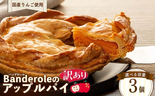 訳あり 国産 りんご アップルパイ 3個 セット 冷凍  工場 直売 アウトレット スイーツ シェア 母の日 父の日 沼津市 静岡県