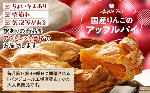 訳あり 国産 りんご アップルパイ 3個 セット 冷凍  工場 直売 アウトレット スイーツ シェア 母の日 父の日 沼津市 静岡県