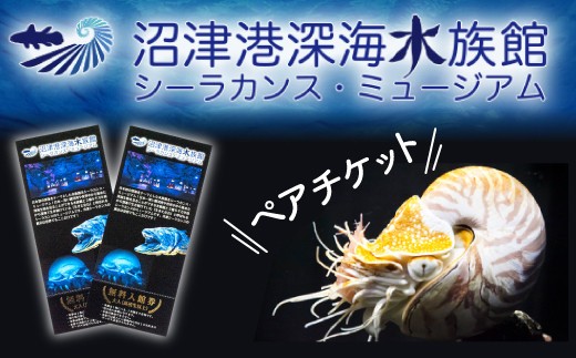 沼津港深海水族館 ペア チケット 大人2名 水族館 沼津港 シーラカンス ミュージアム 体験 プレゼント 贈答 ギフト 観光 旅行 静岡県 沼津