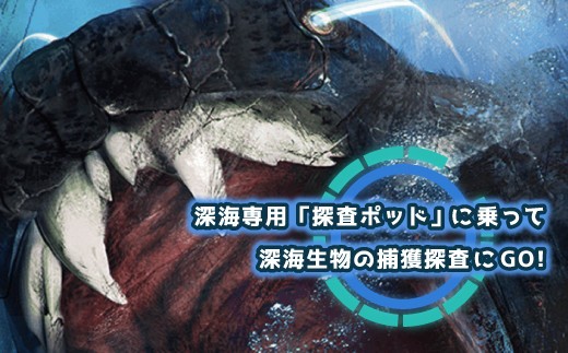 体験 チケット ５回分 ディープシーワールド  シューティング アトラクション  沼津 港八十三番地 14000円