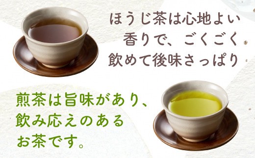 ごちそう温冷ティーバック 計70個 煎茶 ティーバッグ 40個 ほうじ茶 ティーバック 30個 セット お茶 茶 茶葉 静岡県 沼津市