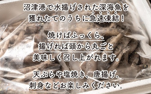 メヒカリ 2kg 小分け 1kg × 2 パック 旬の鮮魚 たっぷり 急速 凍結 冷凍 唐揚げ 天ぷら 塩焼き 刺し身 静岡県 沼津市