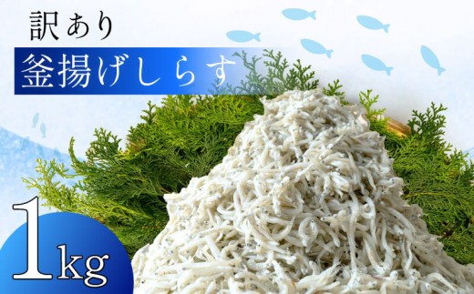 訳あり 釜揚げ しらす 1kg 冷凍 小分け しらす パック 500g 2パック しらす 駿河湾 の恵み シラス サイズ不揃い