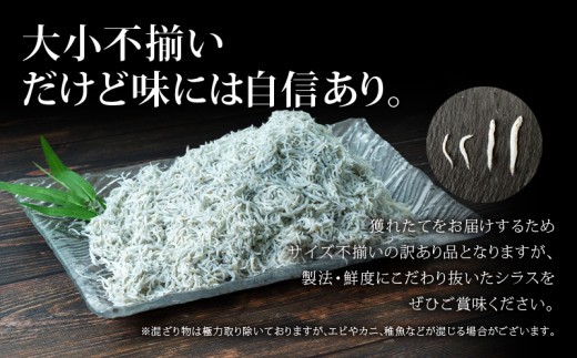 訳あり 釜揚げ しらす 1kg 冷凍 小分け しらす パック 500g 2パック しらす 駿河湾 の恵み シラス サイズ不揃い